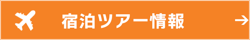 宿泊ツアー情報